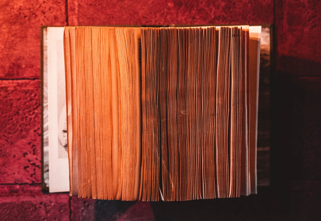 Novel Writing Part II - Starting Your Novel Off Right - Write On! Learning