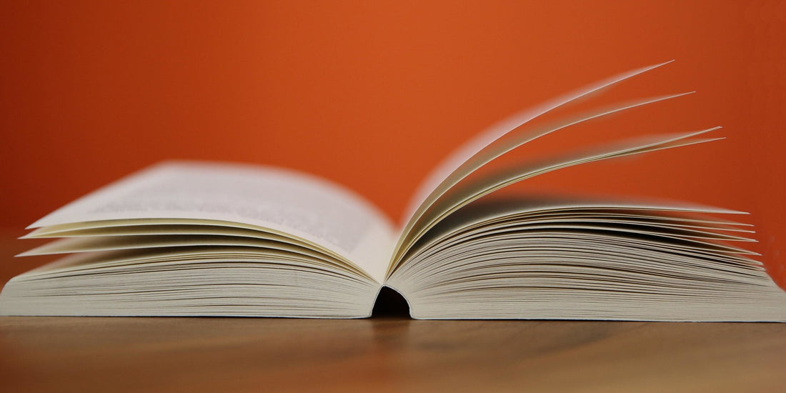 Novel Writing VII - Editing - Write On! Learning