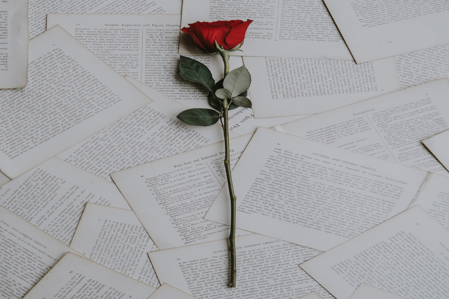 Genre Specialty Workshop ~ Romance