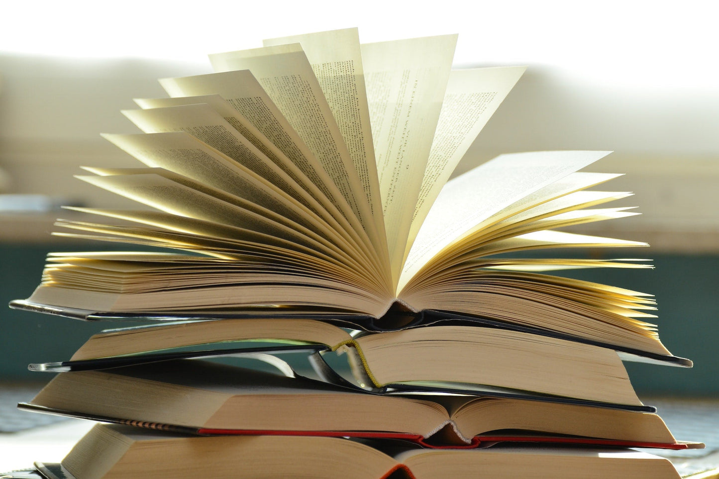 Recommended Books & Past Book Club Books - Write On! Creative Writing Center