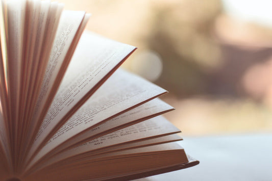 Novel Series 3 Specialty Workshop - Write On! Creative Writing Center